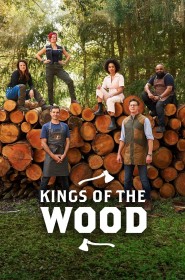 serie kings of the wood en streaming